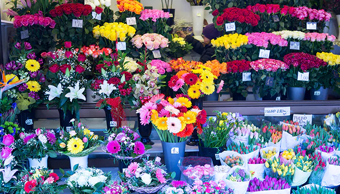 Tips to choose flowers that suit every occasion